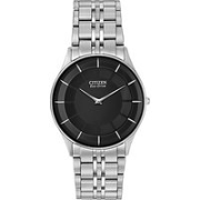 Citizen AR301057E