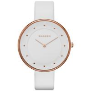 Skagen SKW2291