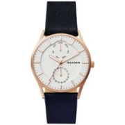 Skagen SKW6372