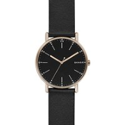 Skagen SKW6419